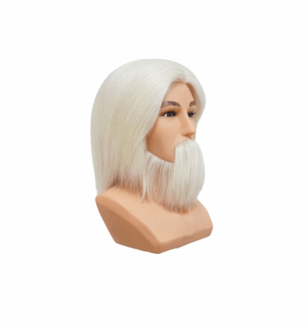 EVAN : Tête homme cheveux blancs avec barbe